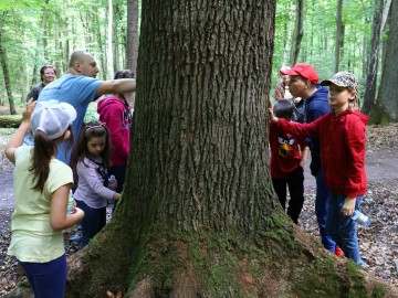 Ruszył projekt edukacyjny Kolorowa Lokomotywa w PKWŁ 2019, 